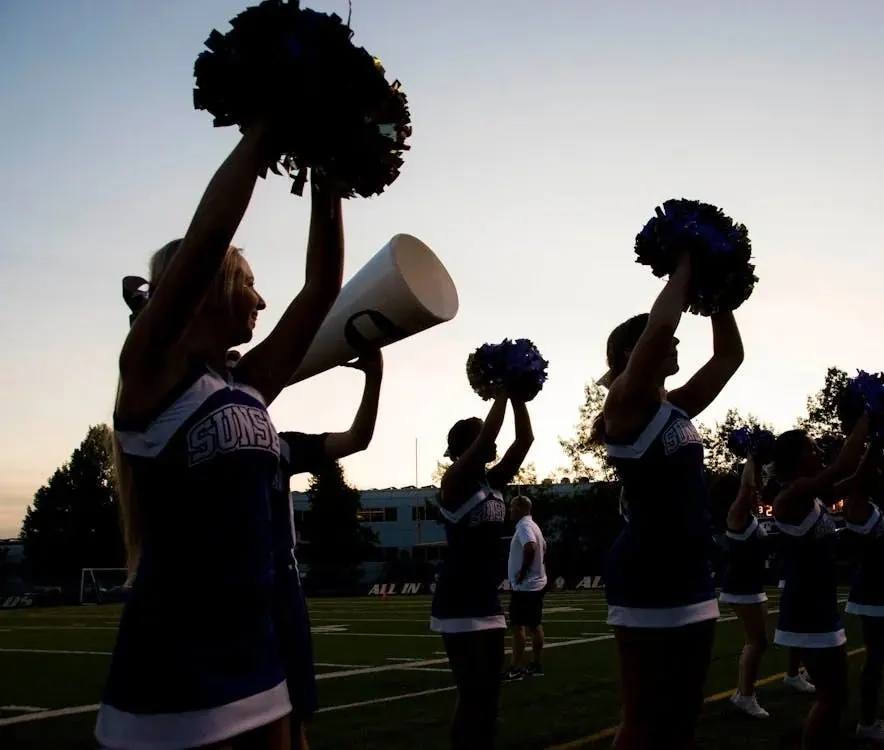 Cheer poms